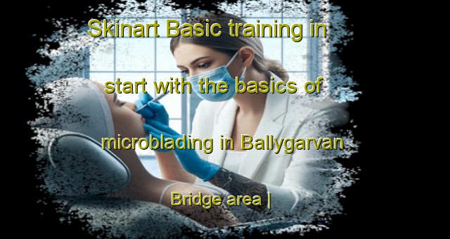 Skinart Basic training in start with the basics of microblading in Ballygarvan Bridge area | MicrobladingTraining | MicrobladingClasses | SkinartTraining-Ireland